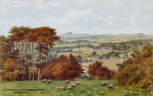 Le Downs con Chantonbury Ring, vicino a Worthing da Alfred Robert Quinton