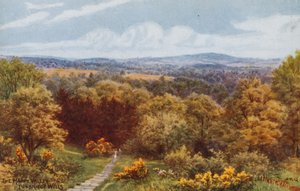 La valle felice, Tunbridge Wells