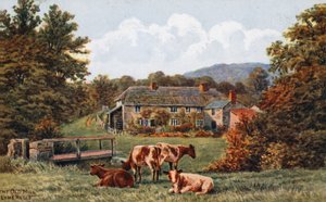 Il vecchio mulino, Lyme Regis da Alfred Robert Quinton
