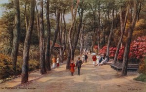 Il Viale dei Pini, Bournemouth da Alfred Robert Quinton