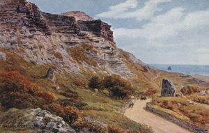 The Undercliff, Niton, Isola di Wight