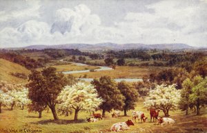 La valle di Evesham