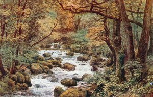Passeggiata del Torrente, Dolgelley da Alfred Robert Quinton