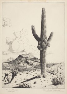La sentinella (Sahuaro) da Alfred Rudolph Waud
