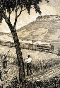 Ferrovie tedesche - Treno in campagna a Freyburg