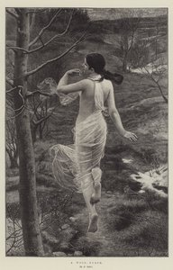 Una Ninfa del Bosco