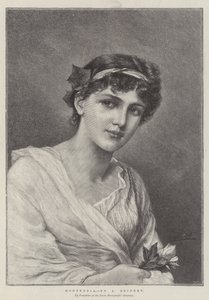 Ortensia da Alfred Seifert