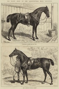 La mostra dei cavalli alla Agricultural Hall, Islington