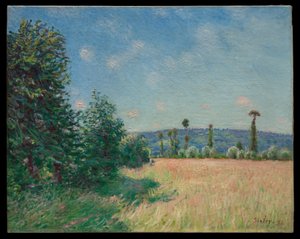 I prati di Sahurs al sole del mattino da Alfred Sisley