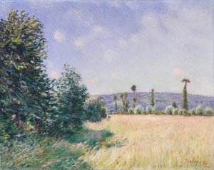 Prati di Sahurs al sole del mattino