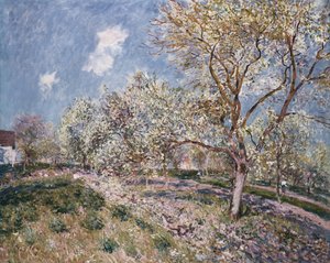 Primavera a Veneux, 1880 da Alfred Sisley