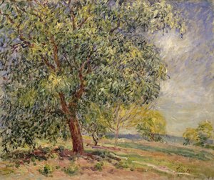 Noce a Sablons in primavera, 1885 da Alfred Sisley
