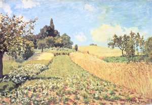 Campo di grano da Alfred Sisley