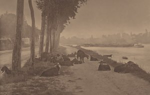  da Alfred Stieglitz