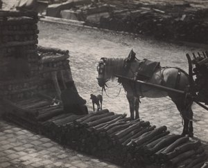  da Alfred Stieglitz