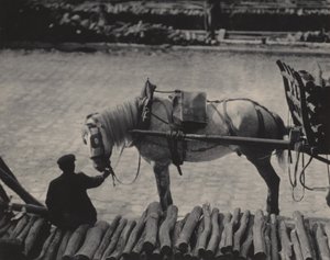  da Alfred Stieglitz