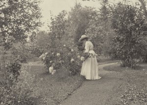  da Alfred Stieglitz
