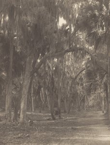  da Alfred Stieglitz