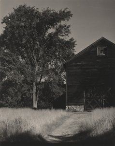  da Alfred Stieglitz