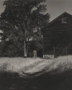 Fienile, Lake George da Alfred Stieglitz