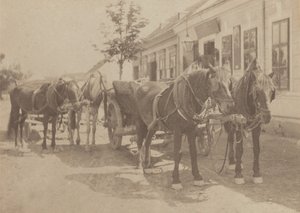  da Alfred Stieglitz