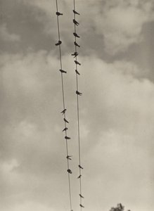 da Alfred Stieglitz