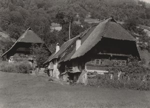  da Alfred Stieglitz