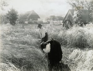  da Alfred Stieglitz