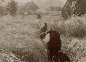  da Alfred Stieglitz