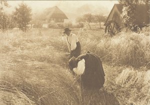 Mattina presto da Alfred Stieglitz