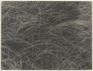 Equivalente da Alfred Stieglitz