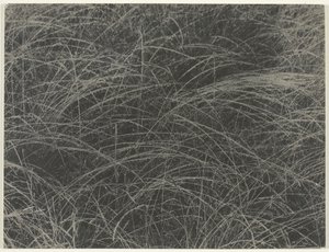 Equivalente, 1927 da Alfred Stieglitz
