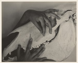 da Alfred Stieglitz