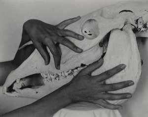  da Alfred Stieglitz