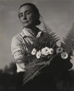  da Alfred Stieglitz