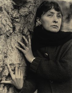  da Alfred Stieglitz