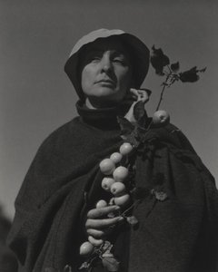  da Alfred Stieglitz
