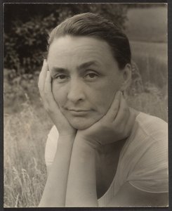  da Alfred Stieglitz
