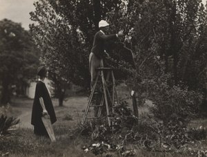  da Alfred Stieglitz