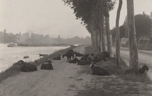  da Alfred Stieglitz