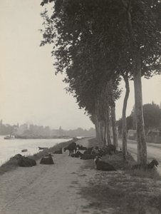  da Alfred Stieglitz
