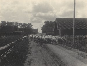 da Alfred Stieglitz