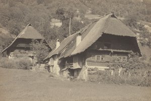  da Alfred Stieglitz
