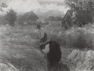  da Alfred Stieglitz