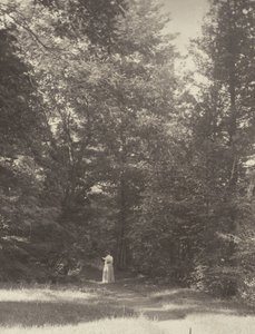  da Alfred Stieglitz