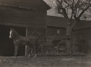  da Alfred Stieglitz