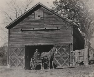  da Alfred Stieglitz