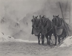  da Alfred Stieglitz
