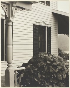 Casa e foglie d