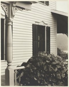 Casa e foglie di vite da Alfred Stieglitz